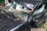 В центре Николаева упавший тополь раздавил автомобиль