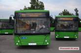 В Николаеве автобусы МАЗ вышли на маршруты: на некоторые не хватает водителей