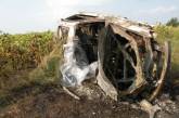 «Тойота» вылетела в кювет, врезалась в дерево и загорелась. Погибли водитель и пассажир