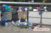 Смрад и зеленые мухи: в Николаеве жители жалуются на завалы мусора