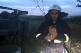 Николаевские спасатели  достали котенка из десятиметрового колодца