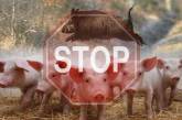 На Николаевщине зафиксировали вспышку африканской чумы свиней