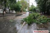 В центре Николаева на дорогу упала огромная ветка — движение оказалось заблокированным