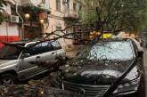Последствия непогоды в Одессе: повалены десятки деревьев, оборваны сети, повреждены машины