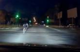Как ездят в Николаеве: на дорогах появился велосипедист - «камикадзе». ВИДЕО
