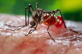На Филиппинах объявлена эпидемия: вирус Денге убил 622 человек