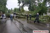 В Николаеве упавший огромный тополь полностью перегородил проезд по Потемкинской