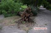 Непогода в Николаеве: авто так и осталось стоять под упавшим деревом, а по городу погнуты дорожные знаки