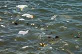 Один кусок мусора в минуту. Черное море стало впервые грязнее Средиземного