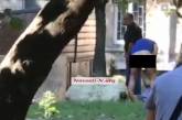 В Николаеве средь бела дня на детской площадке пьяный мужчина вытирал грязный зад. Видео