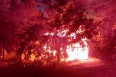 В Очакове сгорели еще несколько домиков пансионата «Прибой». ВИДЕО