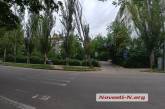 В Николаеве тополь возле тротуара буквально «висит» на дорожном знаке и соседнем дереве