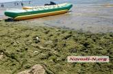 В Коблево весь пляж позеленел от водорослей. ФОТО