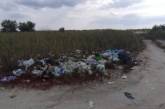 Популярный курорт Херсонщины утопает в мусоре