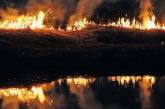 Под Одессой из-за халатности туриста сгорело около гектара заповедника