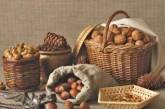 Ореховый Спас: что нельзя делать в этот праздник, приметы и традиции 