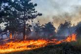 В Украине объявлен пожароопасный период 5 класса: запрещено посещать хвойные леса