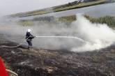 На Николаевщине за сутки выгорело более 31 га полей 