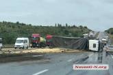 На границе Николаевской области перевернулся грузовик с зерном