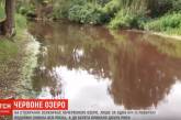 В Киеве озеро внезапно стало красным, из него исчезла ряска и погибла рыба. Видео