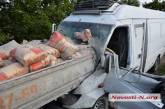 Под Николаевом микроавтобус «Мерседес» врезался в грузовик с цементом: пострадали три человека