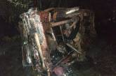 На Николаевщине автомобиль слетел с дороги и загорелся — тушили пожарные