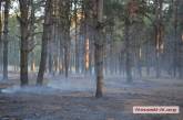 В Николаеве пожарные тушили Матвеевский лес