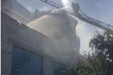 На Николаевщине пожар с сухостоя перекинулся на здание
