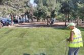 В рамках реконструкции вокруг Соборной площади в Николаеве укладывают рулонный газон