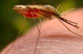 В Запорожье зафиксировали два случая тропической малярии