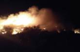 На Николаевщине второй день горит несанкционированная свалка