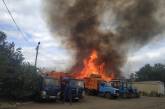 В Вознесенске пожар на коммунальном предприятии — горят сухие ветки