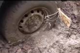 В Харькове свадебный лимузин увяз в грязи. ВИДЕО