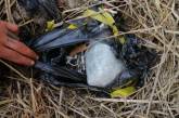 На Николаевщине местный искатель металла обнаружил 1,5 кг пластида