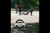 В Николаеве подрались две девушки - одна избивала другую ногами. Видео 18+