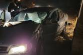 В Николаеве пьяный водитель на «Ниссане» врезался в гараж