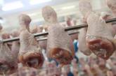 На комбинате питания в Николаевской области обнаружили курятину с сальмонеллой