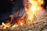 На Николаевщине огонь уничтожил две тонны сена и сеновал