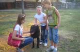Николаевских детей учили «правильно» играть с собаками