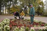 В Николаеве уборка цветов возле сквера «ольшанцев» вызвала негодование прохожих