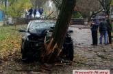 В Николаеве «Ауди» свалил дерево в парке — водитель скрылся на кабриолете