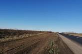 Вдоль отремонтированной трассы «Кропивницкий-Николаев» высадят деревьев почти на 2 миллиона