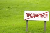 Более 68% украинцев поддержали бы на референдуме мораторий на продажу земли