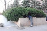 У Николаевской ОГА парень искал «закладку» — полиция не отреагировала