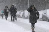 В Чикаго из-за рекордных морозов и снегопада закрыты школы и предприятия