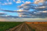 На Николаевщине фермеры обманом завладели землей стоимостью более 1,6 млн грн