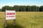 «Рейдерские механизмы»: влиятельные николаевцы рассказали, что думают о продаже земли в Украине