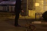 В Киеве мужчина выгуливал леопарда