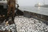 Россия и Украина договорились о квотах на вылов рыбы в Азовском море