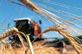 Николаевщина за 9 месяцев экспортировала зерна на 838 миллионов долларов США